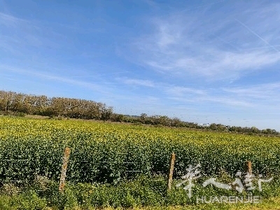 picture.jpg
