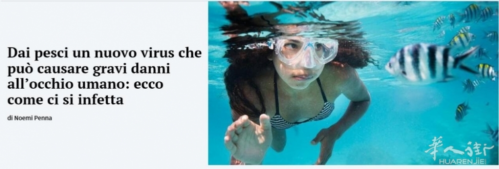 研究发现一种新型病毒从鱼类感染人类眼睛，严重可致盲！