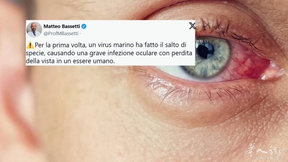 bassetti virus marino.jpg