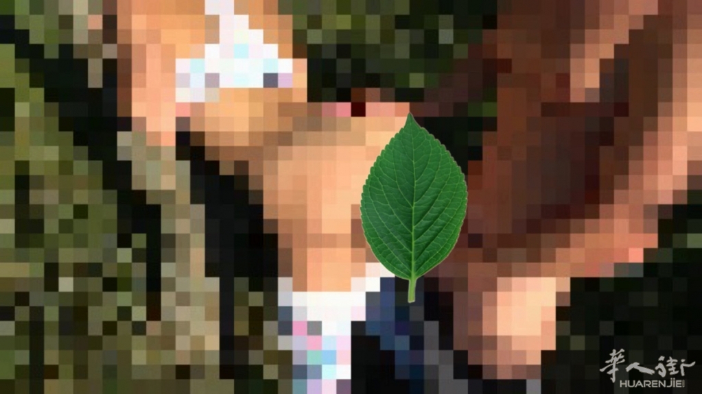 picture.jpg