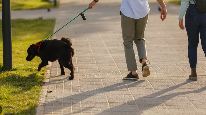 Capture d’écran 2026-04-14 à 12.09.52.png