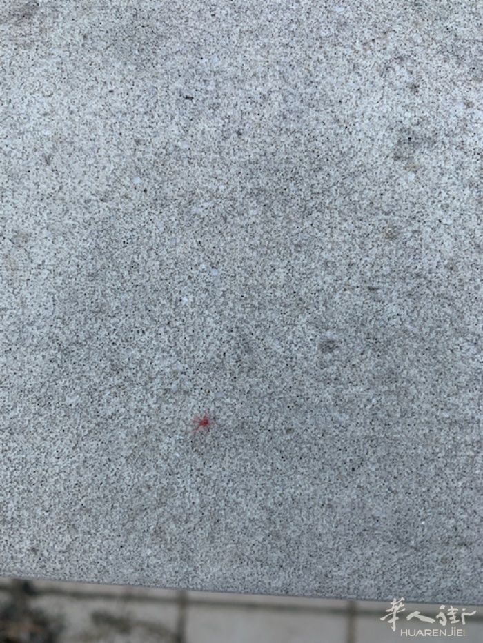 picture.jpg