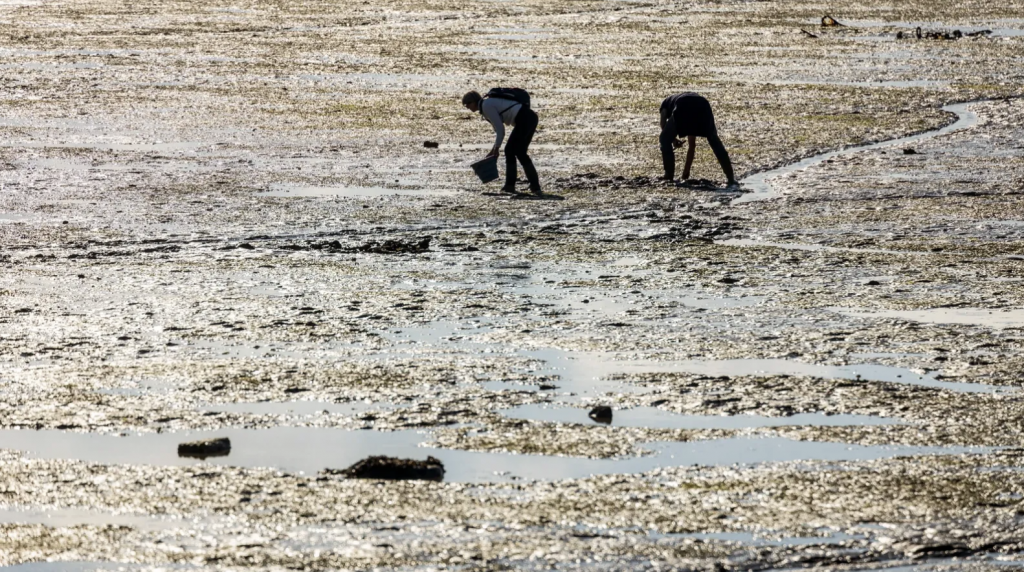 Capture d’écran 2026-04-18 à 07.49.30.png