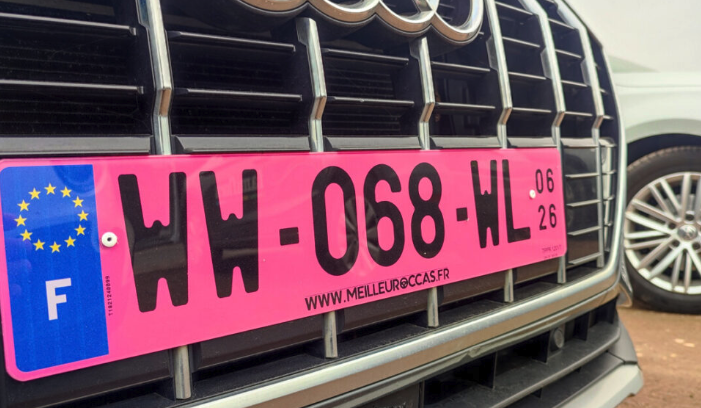法国路上“粉色车牌”越来越多：右侧数字到底是什么意思？ ...