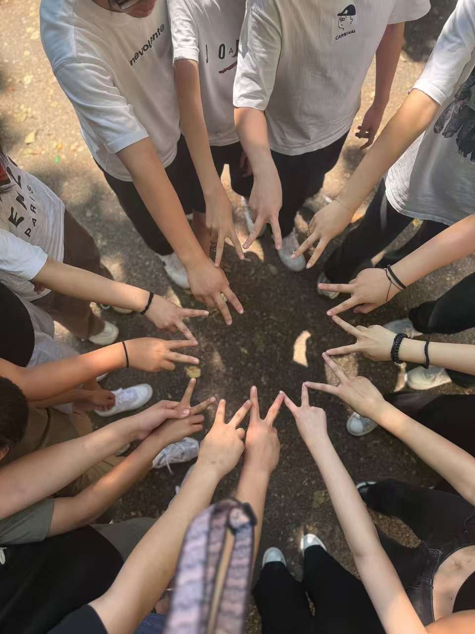 图片_20260421051917_44_12.jpg