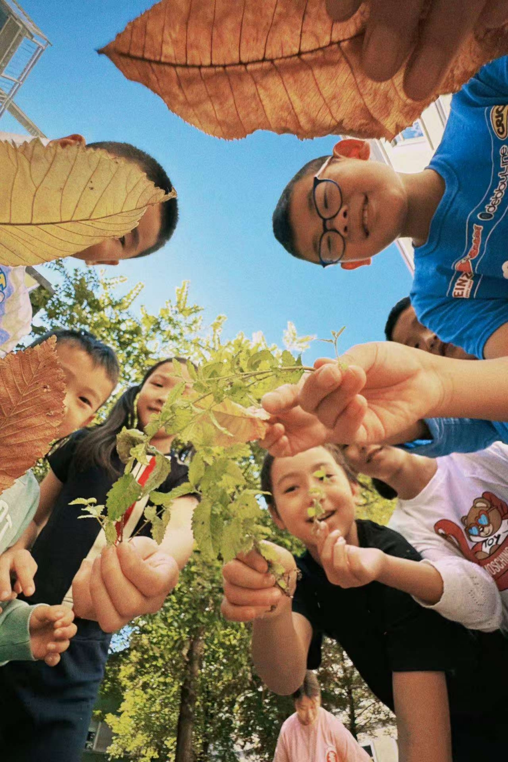 图片_20260421051924_47_12.jpg