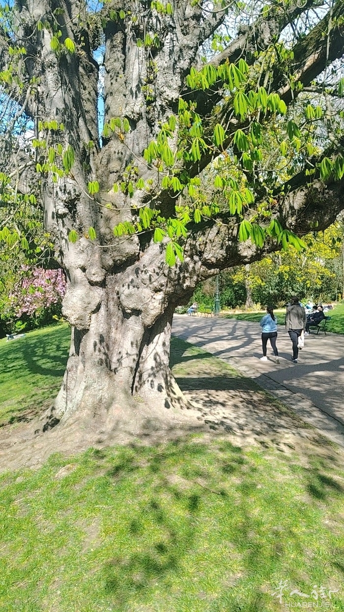 picture.jpg