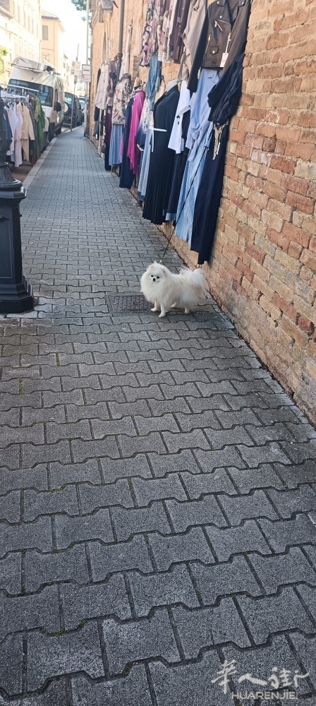 picture.jpg