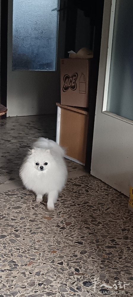 picture.jpg