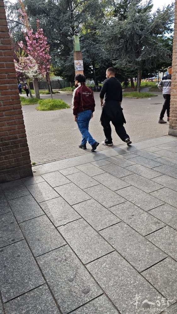 picture.jpg