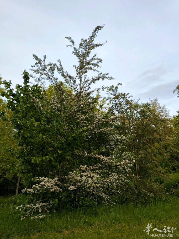 picture.jpg
