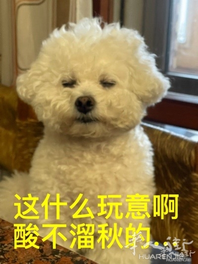 picture.jpg