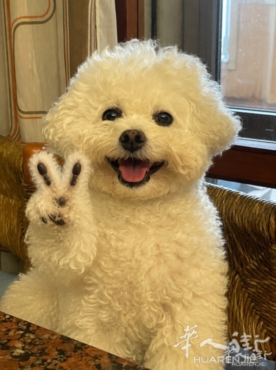 picture.jpg