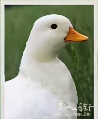 picture.jpg