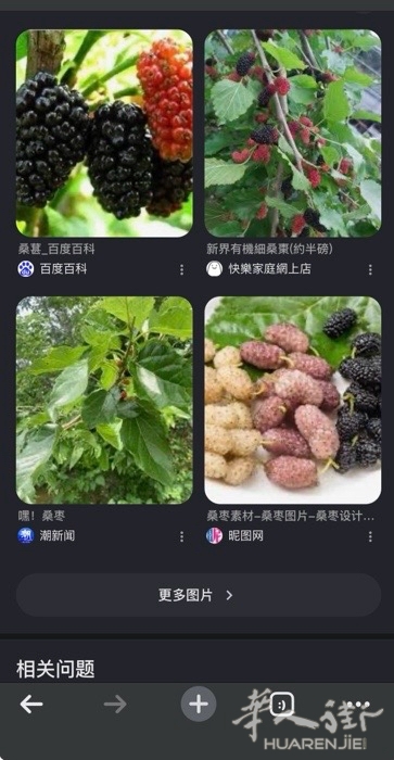picture.jpg