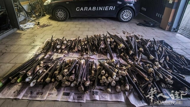 carabinieri bambo.jpeg