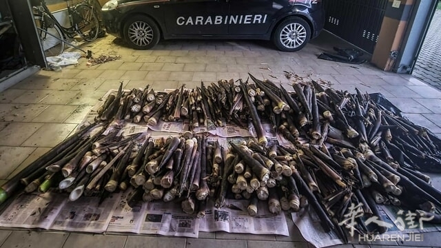 carabinieri bambo.jpeg