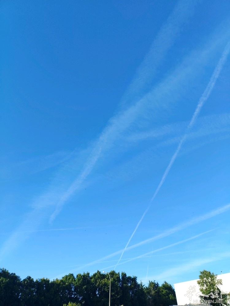 picture.jpg