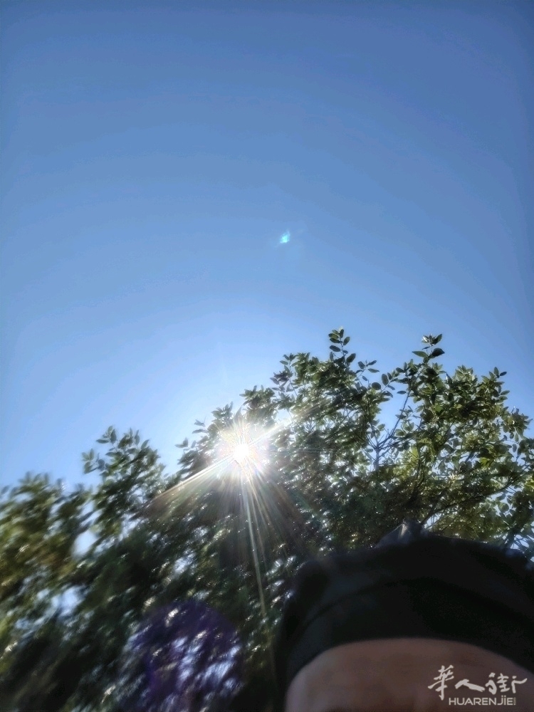 picture.jpg