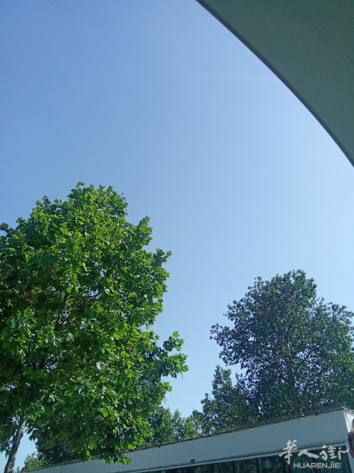 picture.jpg