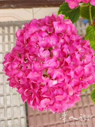 picture.jpg