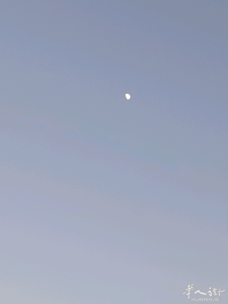 picture.jpg