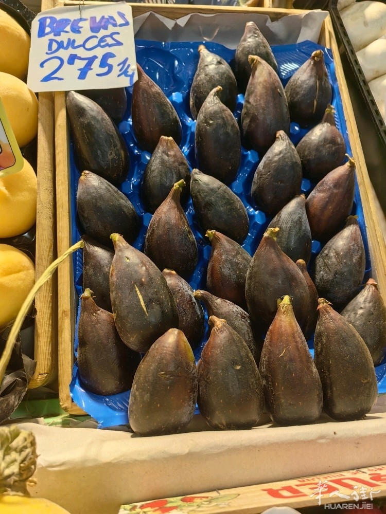 picture.jpg