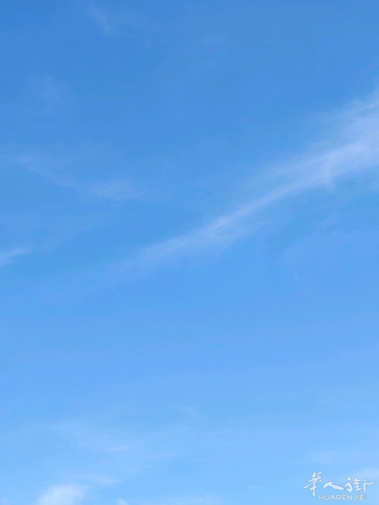 picture.jpg
