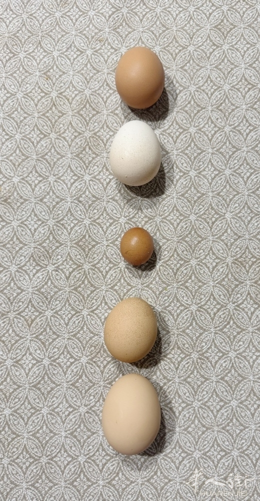 picture.jpg