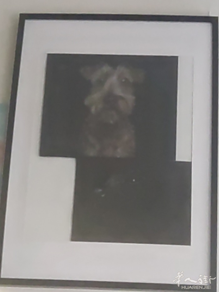 picture.jpg