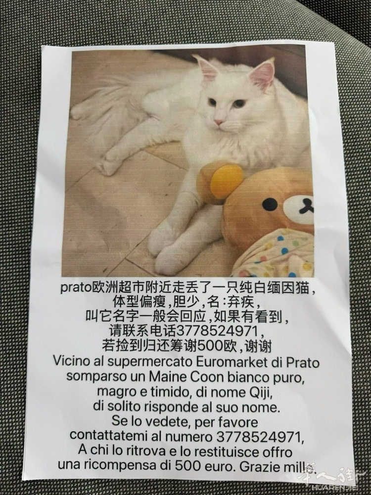 picture.jpg