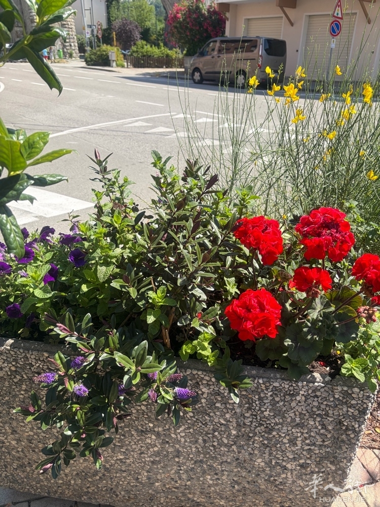 picture.jpg