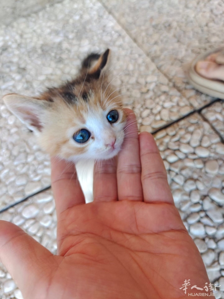 picture.jpg