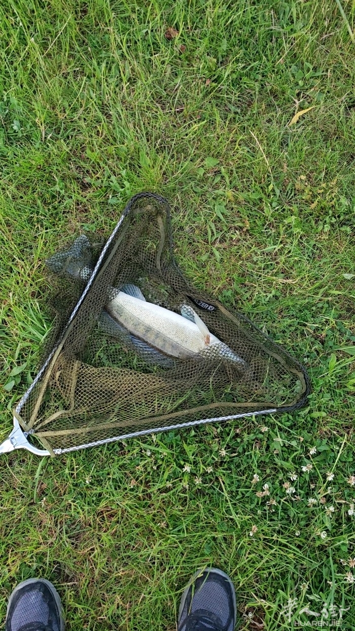 picture.jpg