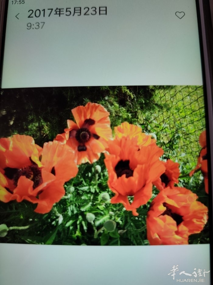 picture.jpg