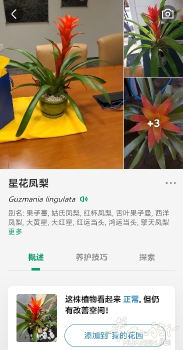 picture.jpg