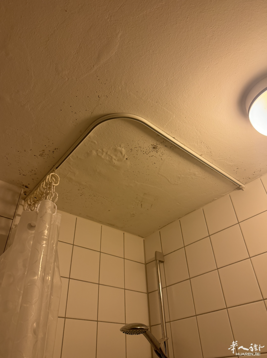 what-to-do-about-mould-mildew-on-the-plaster-above-my-v0-0l1mx2k5si0e1.png