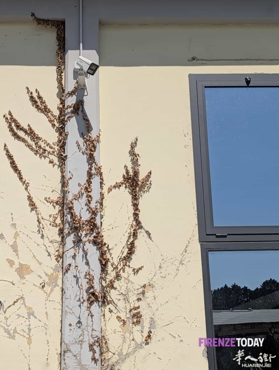Spari e accoltellati a Campi Bisenzio, circolo cinese sotto sequestro 3.jpeg