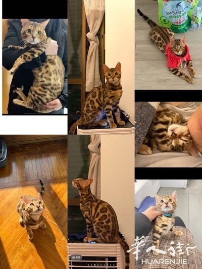 picture.jpg
