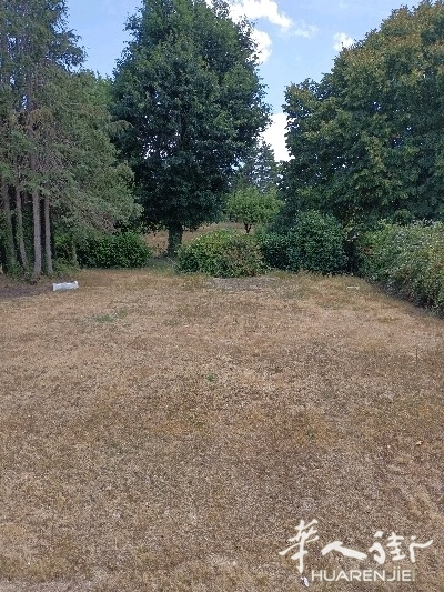 picture.jpg