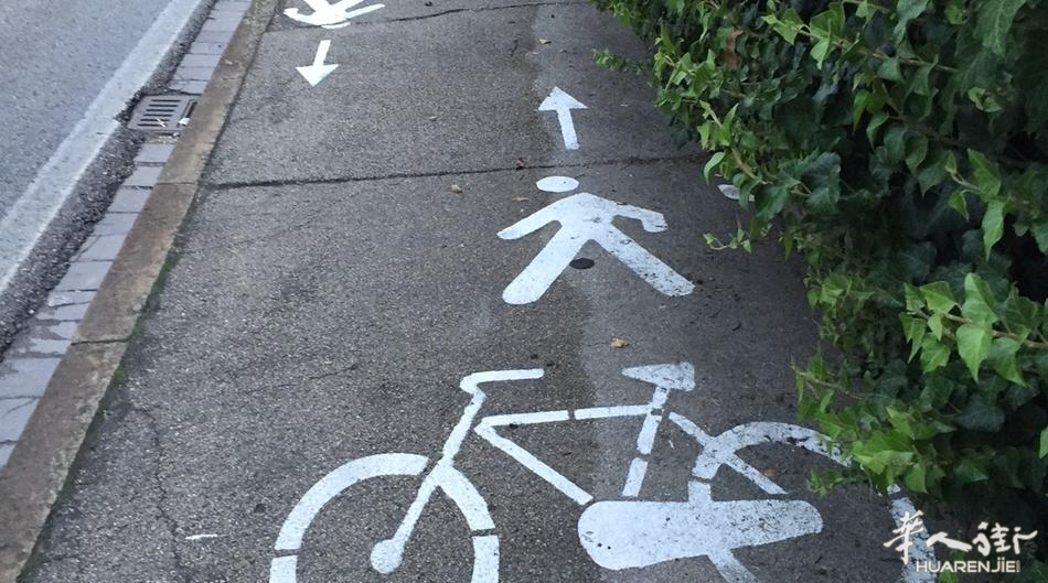 Ciclopedonale2.jpg