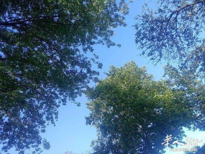 picture.jpg