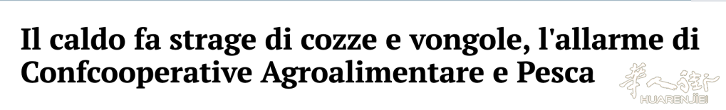 Screenshot 2026-07-13 at 22.11.24.png