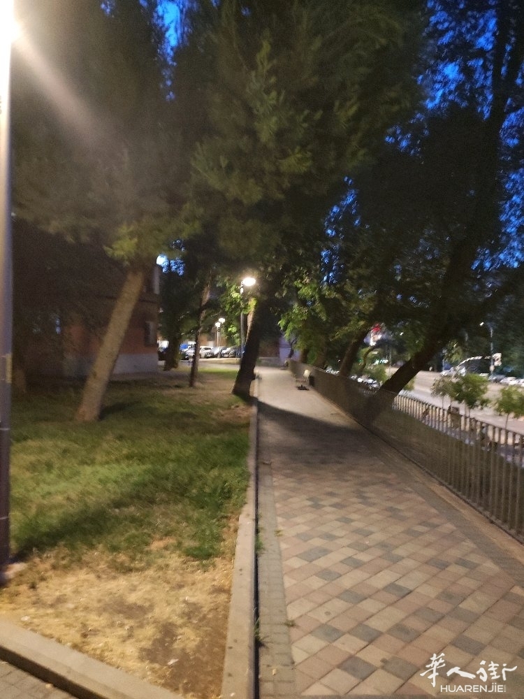 picture.jpg