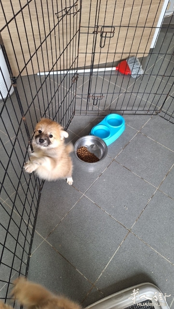 picture.jpg