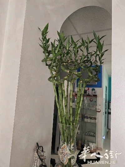 picture.jpg
