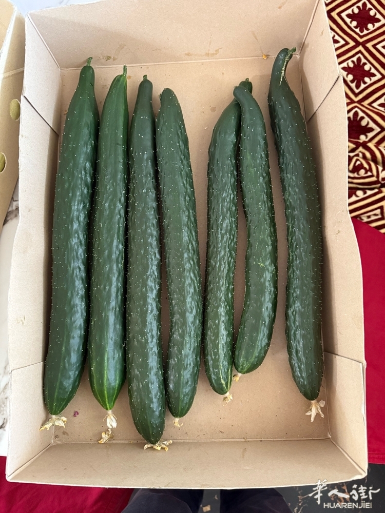 picture.jpg