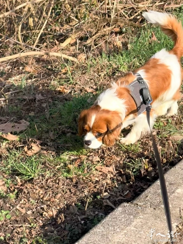 picture.jpg