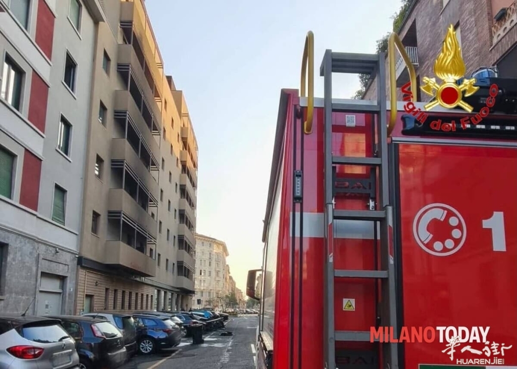 Le auto carbonizzate - Foto Vigili del fuoco (1).jpg