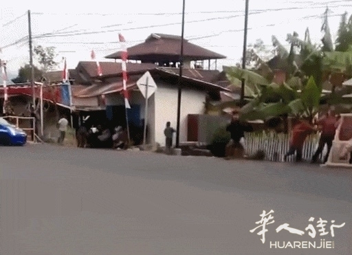 picture.jpg